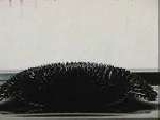 Ferrofluid