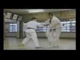 Kyokushin