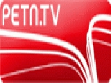 PETN TV - Stacja Sportowa