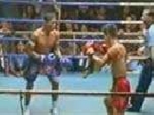  Thai Boxing