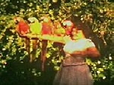 Beirut - Postcards