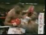 Mike Tyson Knockouts