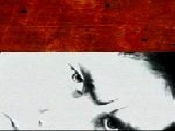 Pudelsi - Skóry