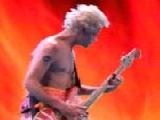 Red Hot Chili Peppers - Higher Ground